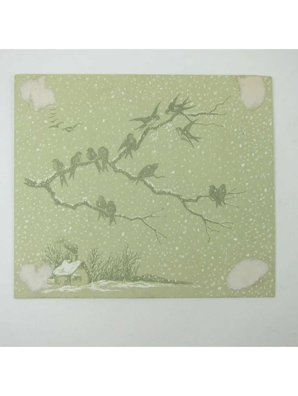 Victorian Christmas Card Flowers Yellow & White Raphael Tuck & Sons Antique